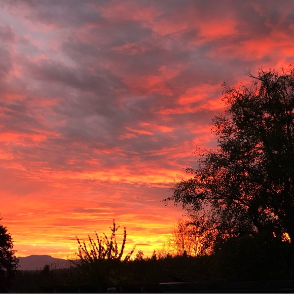 morningstar771